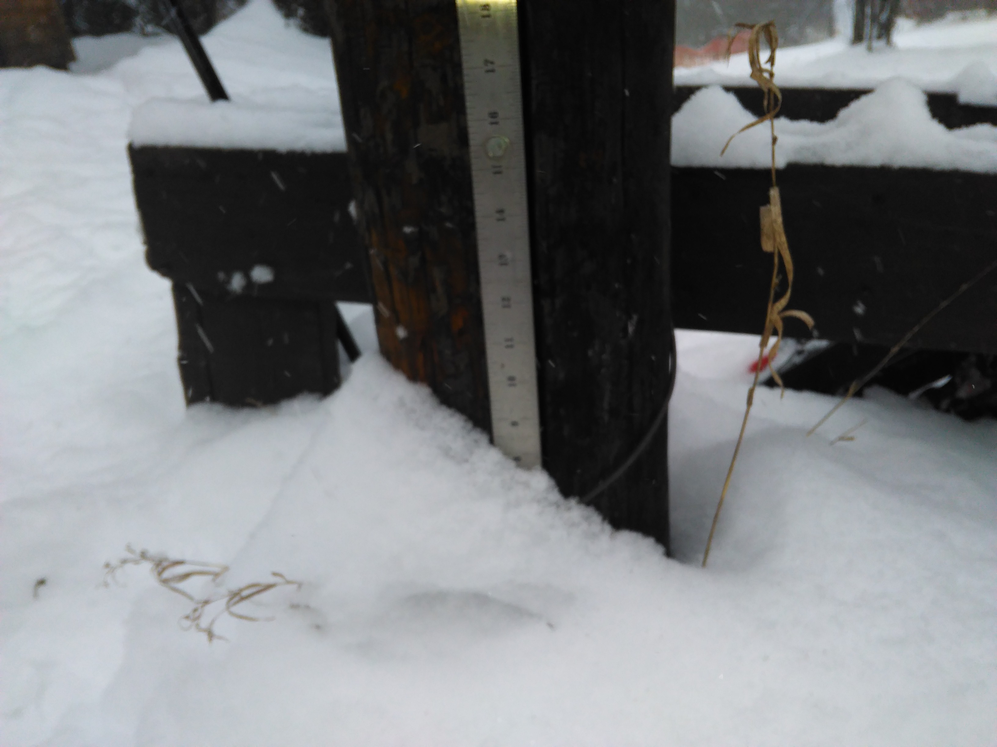 Measured snow             December 17, 2016